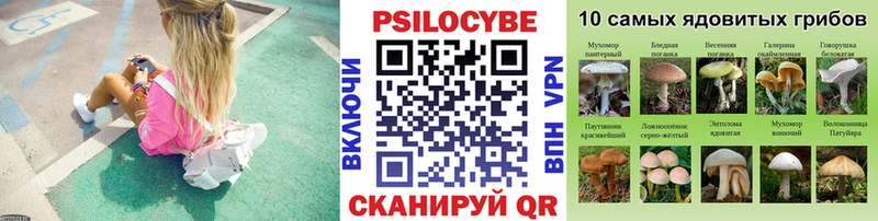купить наркотики сайты  mega как зайти  Псилоцибиновые грибы мицелий  Иноземцево 